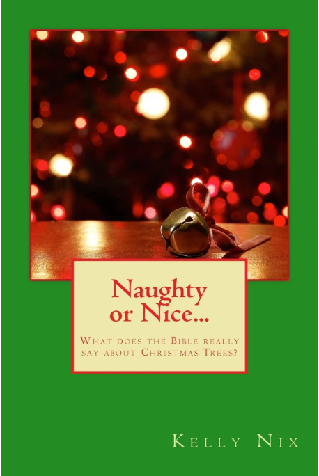 Cover of Naughty or Nice